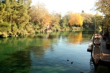 Enlarge photo 48