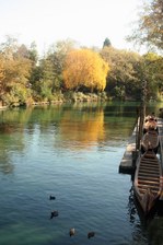 Enlarge photo 49