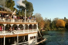 Enlarge photo 52