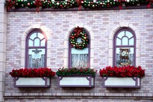 Enlarge photo 142