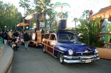 Enlarge photo 164