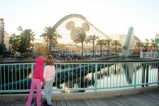 Enlarge photo 165