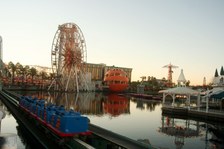 Enlarge photo 174