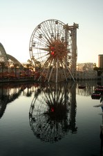 Enlarge photo 182