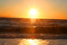 Enlarge photo 95