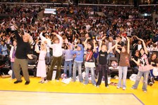 Enlarge photo 204