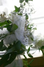 Enlarge photo 59
