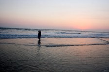 Enlarge photo 85
