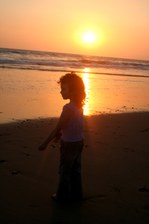 Enlarge photo 44