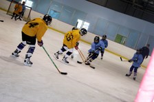 Enlarge photo 118