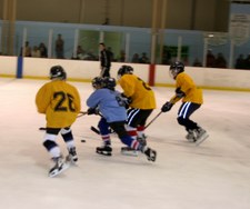 Enlarge photo 48