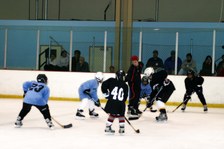 Enlarge photo 82