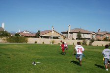 Enlarge photo 163