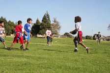 Enlarge photo 168