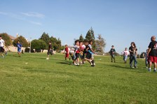 Enlarge photo 174