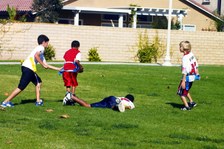 Enlarge photo 55