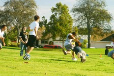 Enlarge photo 65