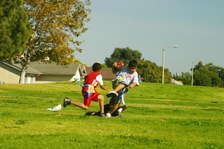 Enlarge photo 77