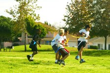 Enlarge photo 82