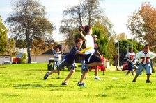 Enlarge photo 105