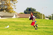 Enlarge photo 106