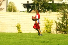 Enlarge photo 108