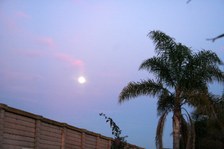 Enlarge photo 214