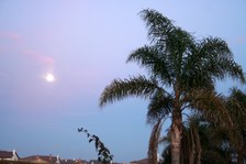 Enlarge photo 215