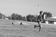 Enlarge photo 118