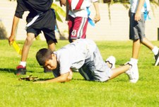 Enlarge photo 139