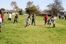 Enlarge photo 155
