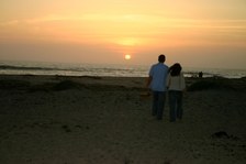 Enlarge photo 47