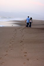 Enlarge photo 58