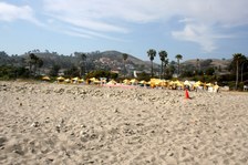 Enlarge photo 93