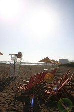 Enlarge photo 175