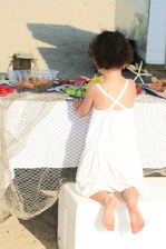 Enlarge photo 184