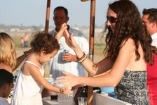 Enlarge photo 240