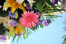 Enlarge photo 271
