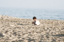 Enlarge photo 319
