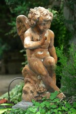 Enlarge photo 57