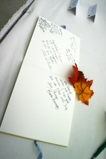 Enlarge photo 155
