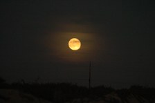 Enlarge photo 37