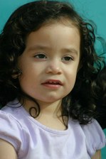 Enlarge photo 92