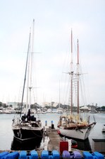 Enlarge photo 438