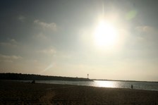 Enlarge photo 114