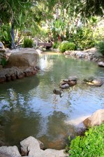 Enlarge photo 25