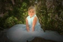 Enlarge photo 81