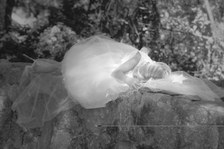 Enlarge photo 83