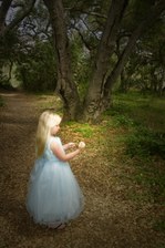 Enlarge photo 25