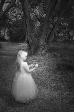 Enlarge photo 26